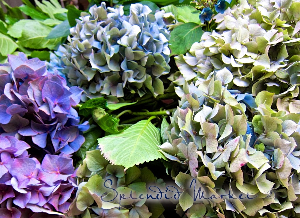 Euphoric Blog London Florist For Wedding Flowers Bridal