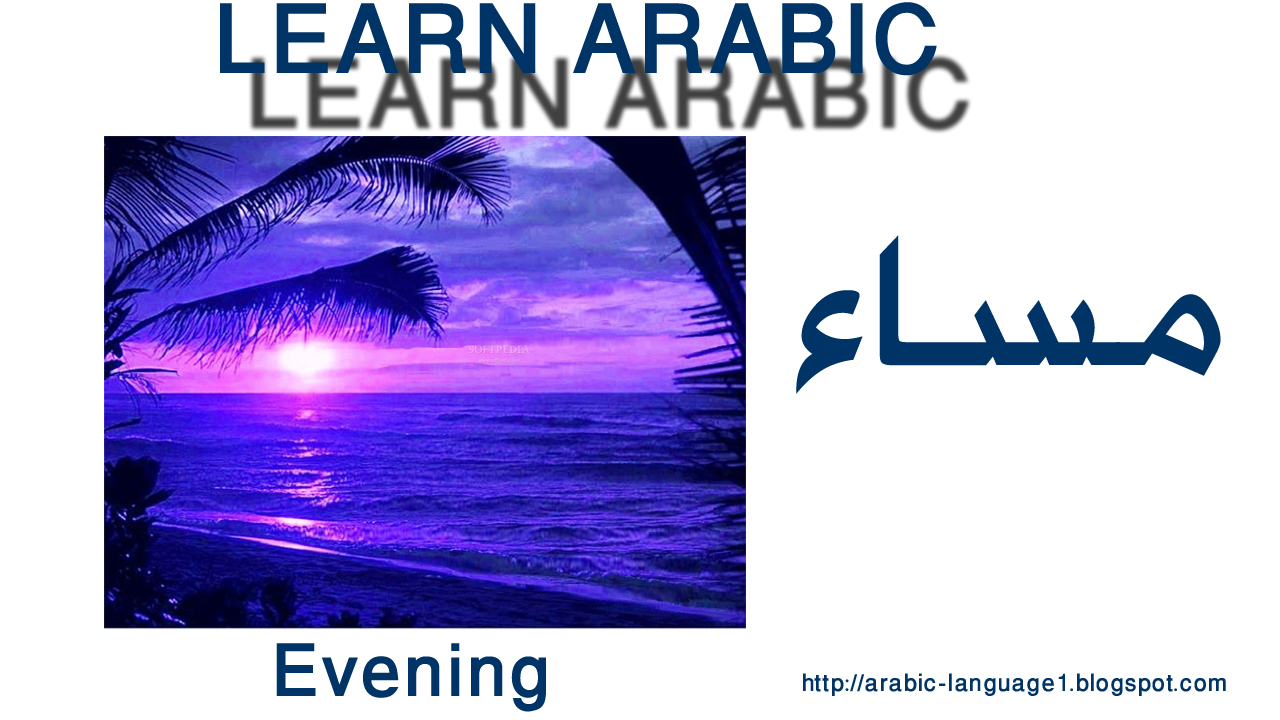 Download All pictures used in that Lesson ( 6 pictures ) Size 2 MB.