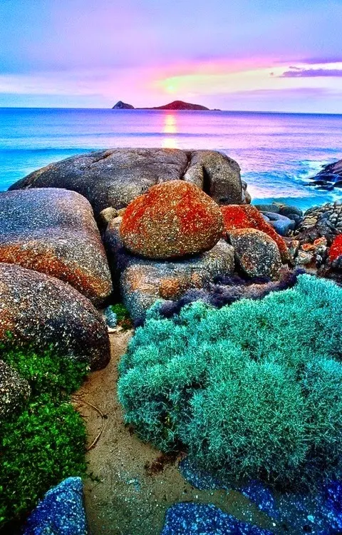 Whisky Bay,Wilsons Promontory National Park