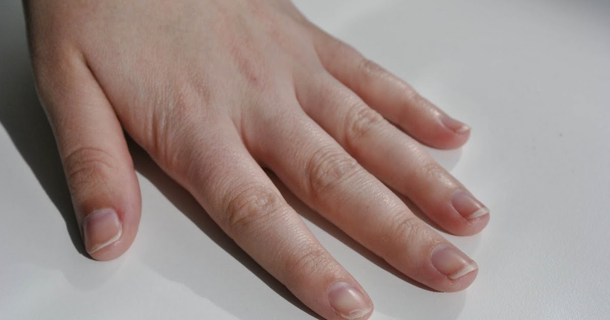 No Nails The House Decorating