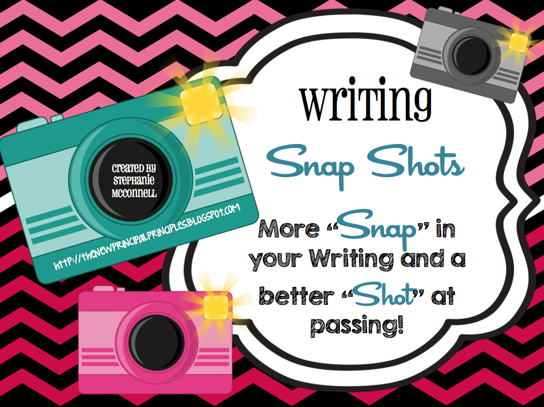 Writing Snapshot Posters Principal Principles