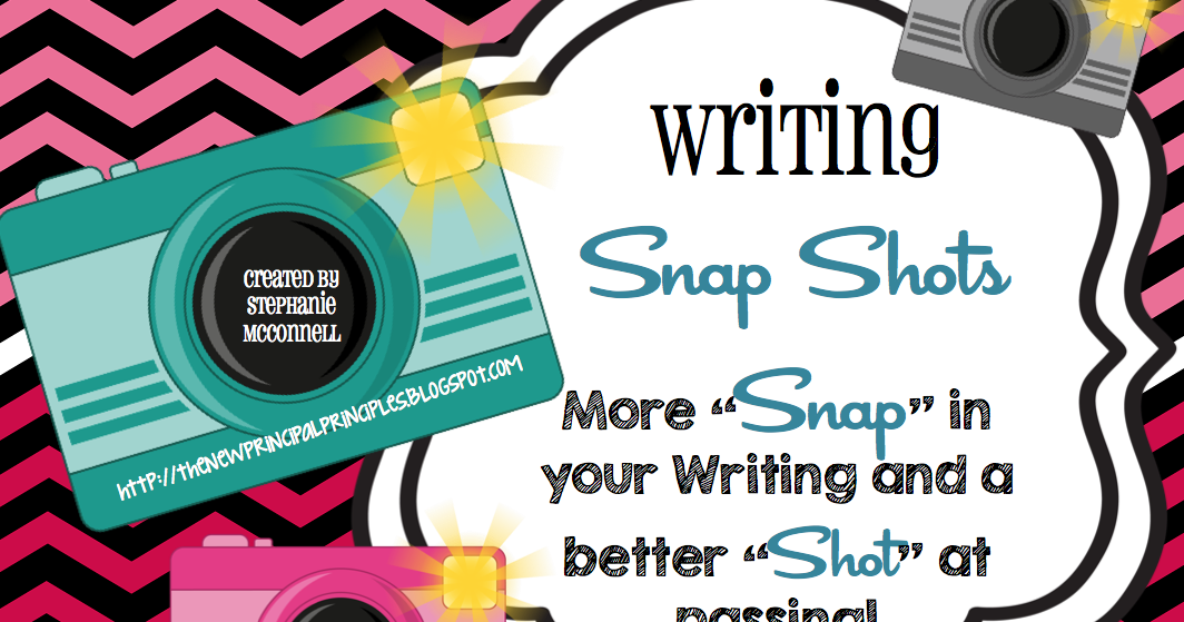 Writing Snapshot Posters Principal Principles