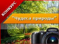 Чудеса природы Чудеса природы