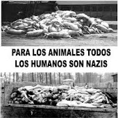 Los campos de concentración nazzi no difieren de los asinamientos de animales.