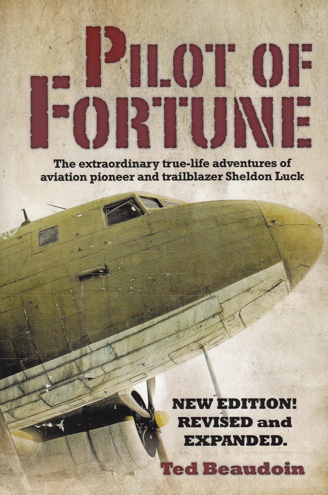 Pilot of Fortune