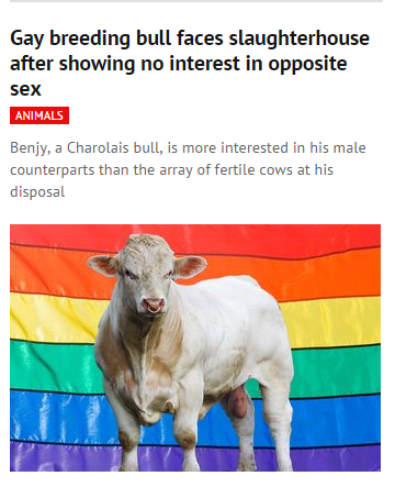 anti gay marriage ads from Louie the bull berlin gay