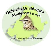 Grupo de Estudios Ambientales