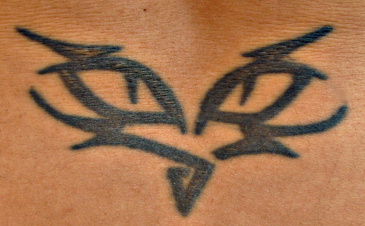 belssima tattoo tribal de