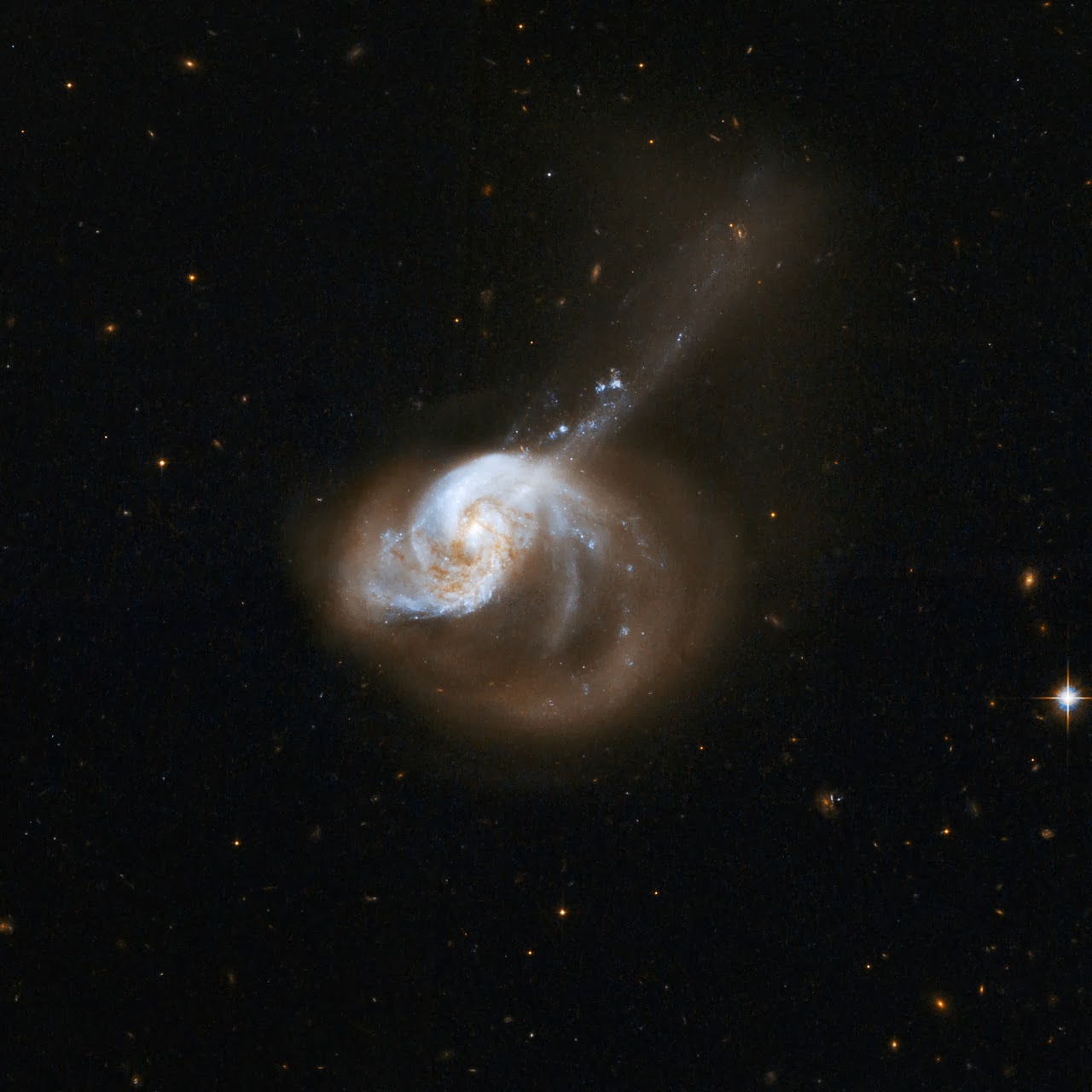 Hubble Interacting Galaxy NGC 1614