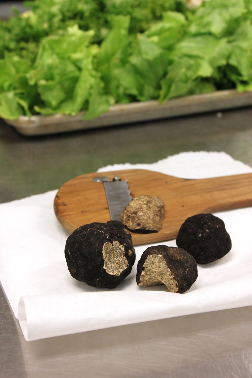 Travel Oregon Truffle Festival 2012