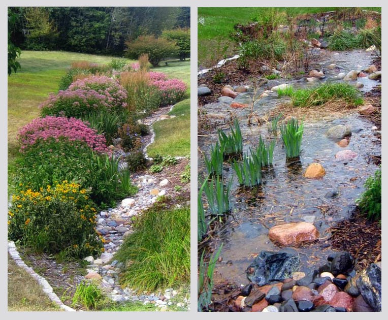 Landscaping Shrubs For Privacy Landscape Ideas