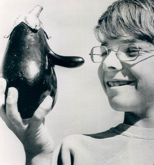 Everyday Dutch Oven AhHing's Eggplant