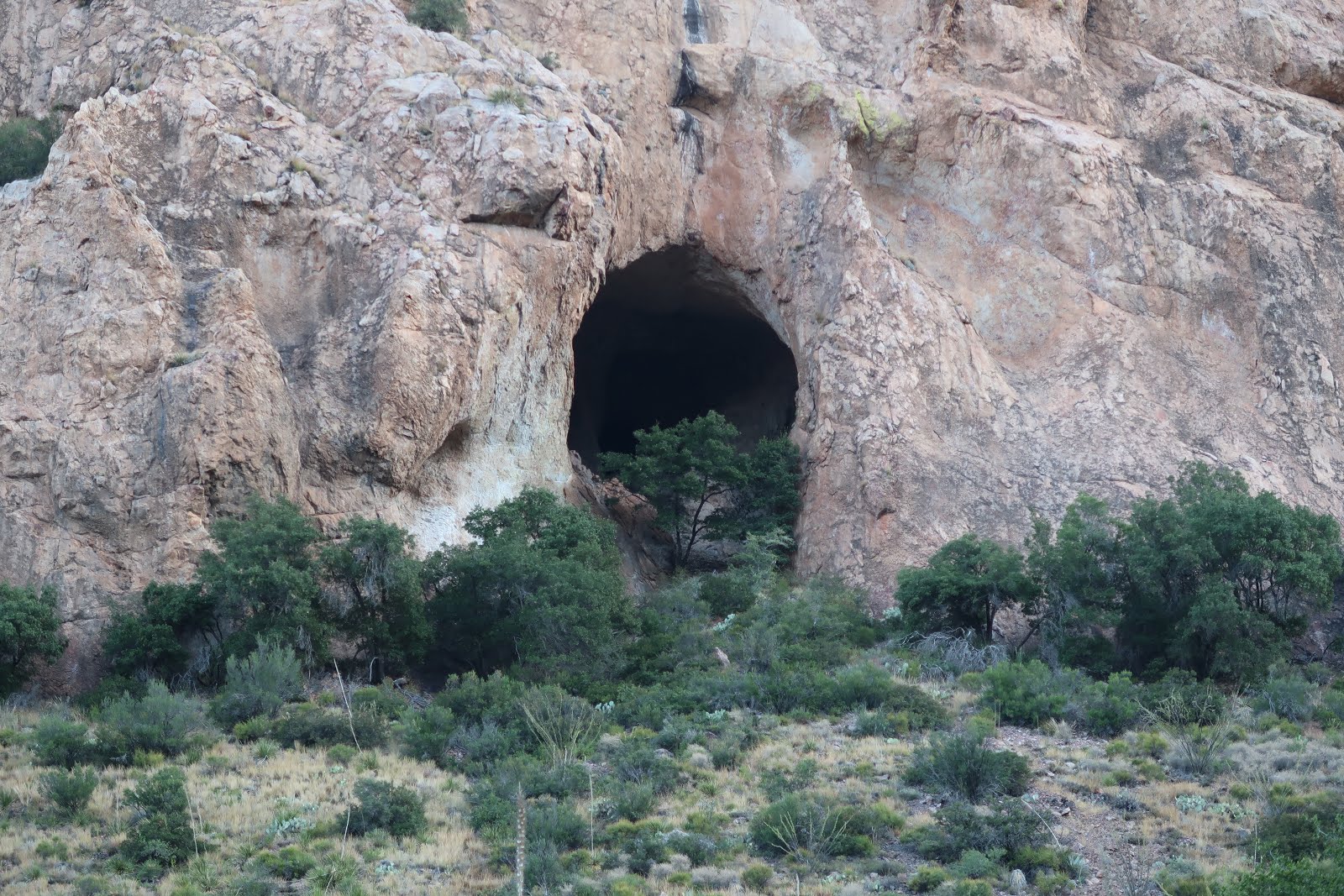 Trip Report Big Bend Day 5 & 6