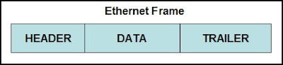 Refer to the exhibit. Which option correctly identifies content that the frame data field may contain?
