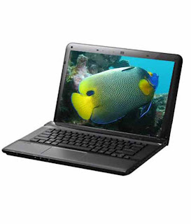 Best laptops of 2013 under 35000 rs in india