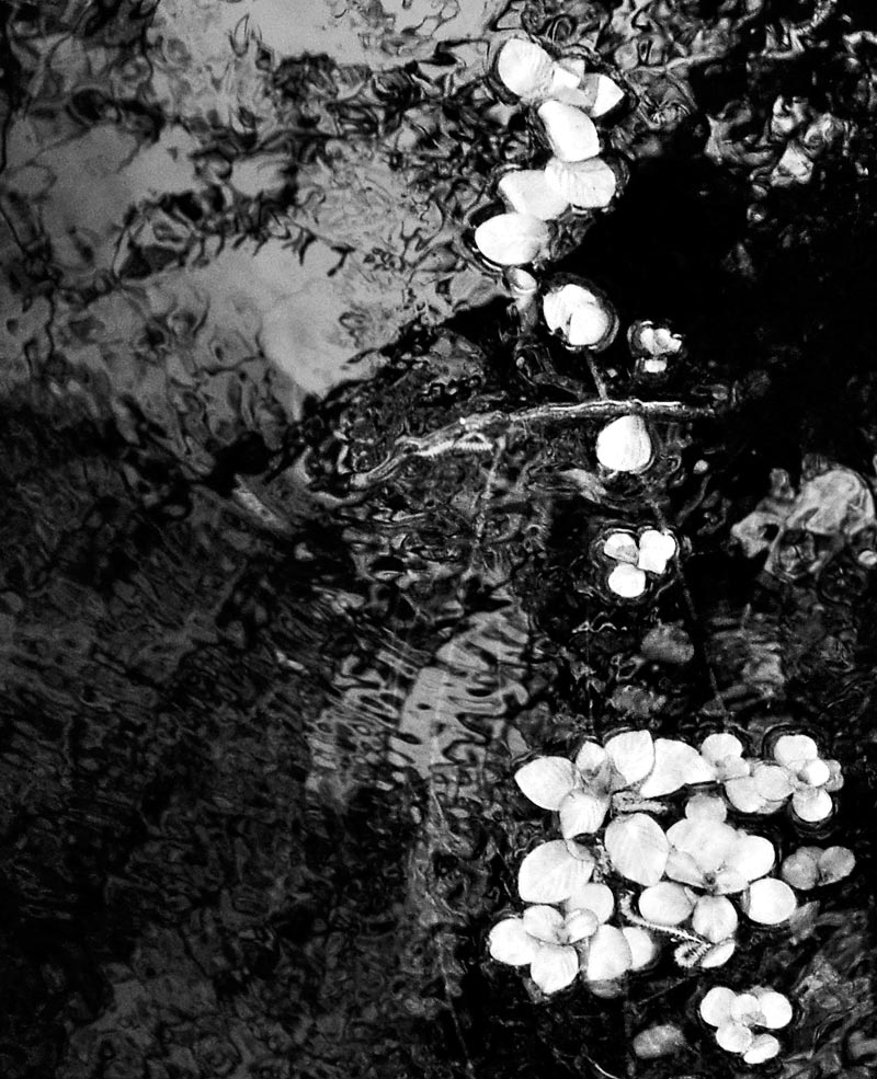 On the surface, vertical black and white; click for main post