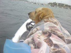 Buttercup Getting Drenched on the Kayak