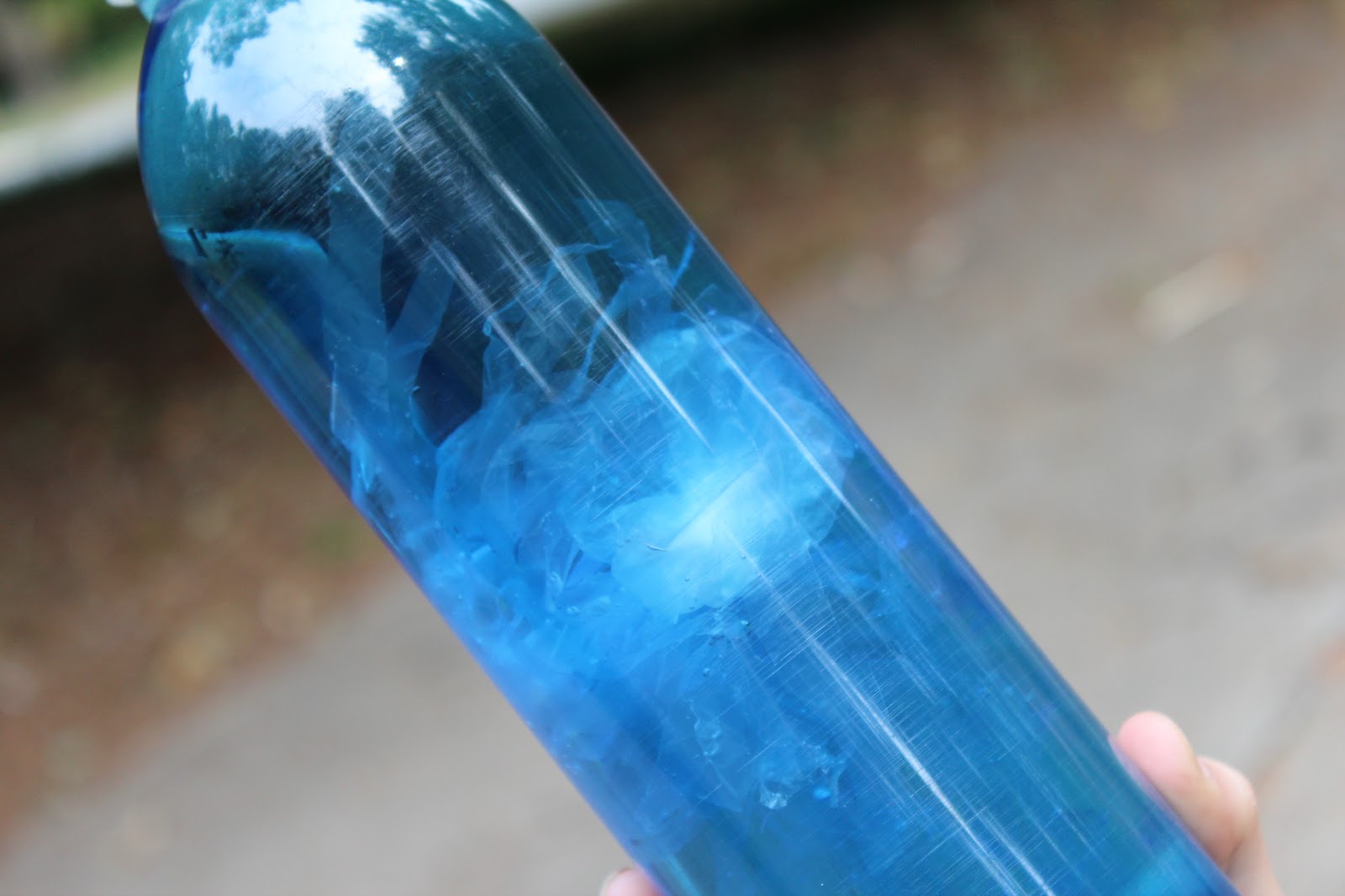 booturtle's show and tell Jellyfish in a Bottle