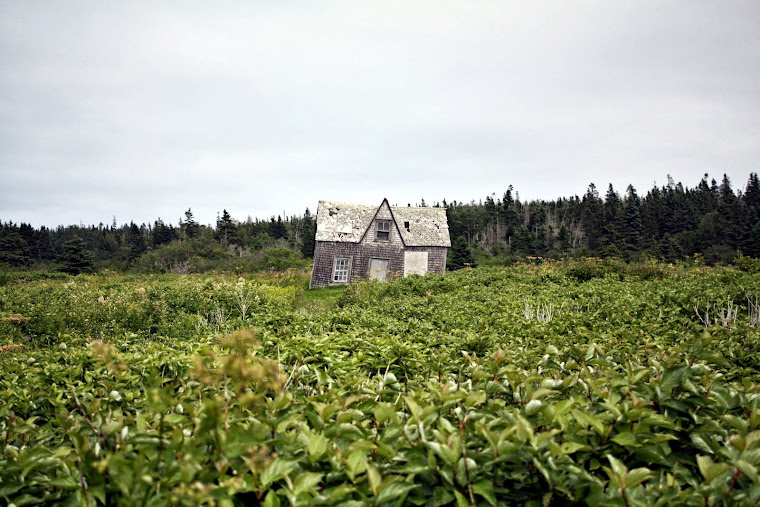 ÎLE BONAVENTURE