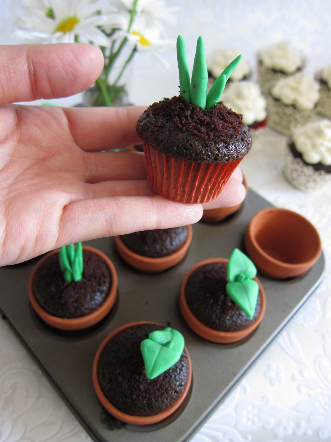 Hum Plant Cupcake めばえのカップケーキ