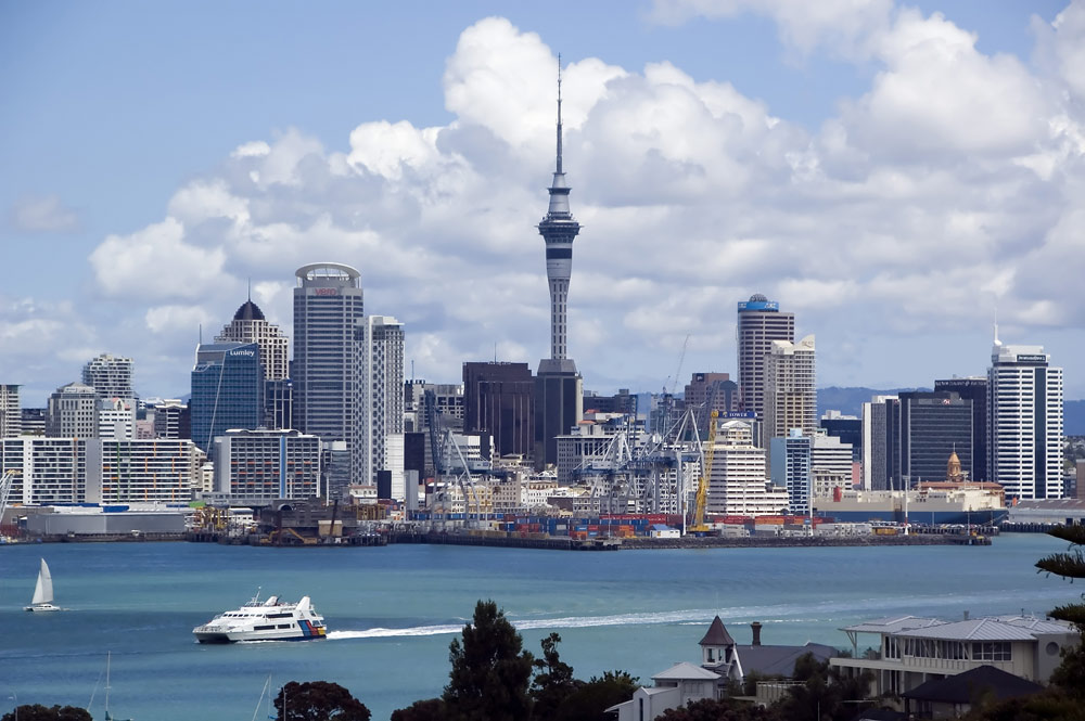 Wellington Skyline | Travel Review