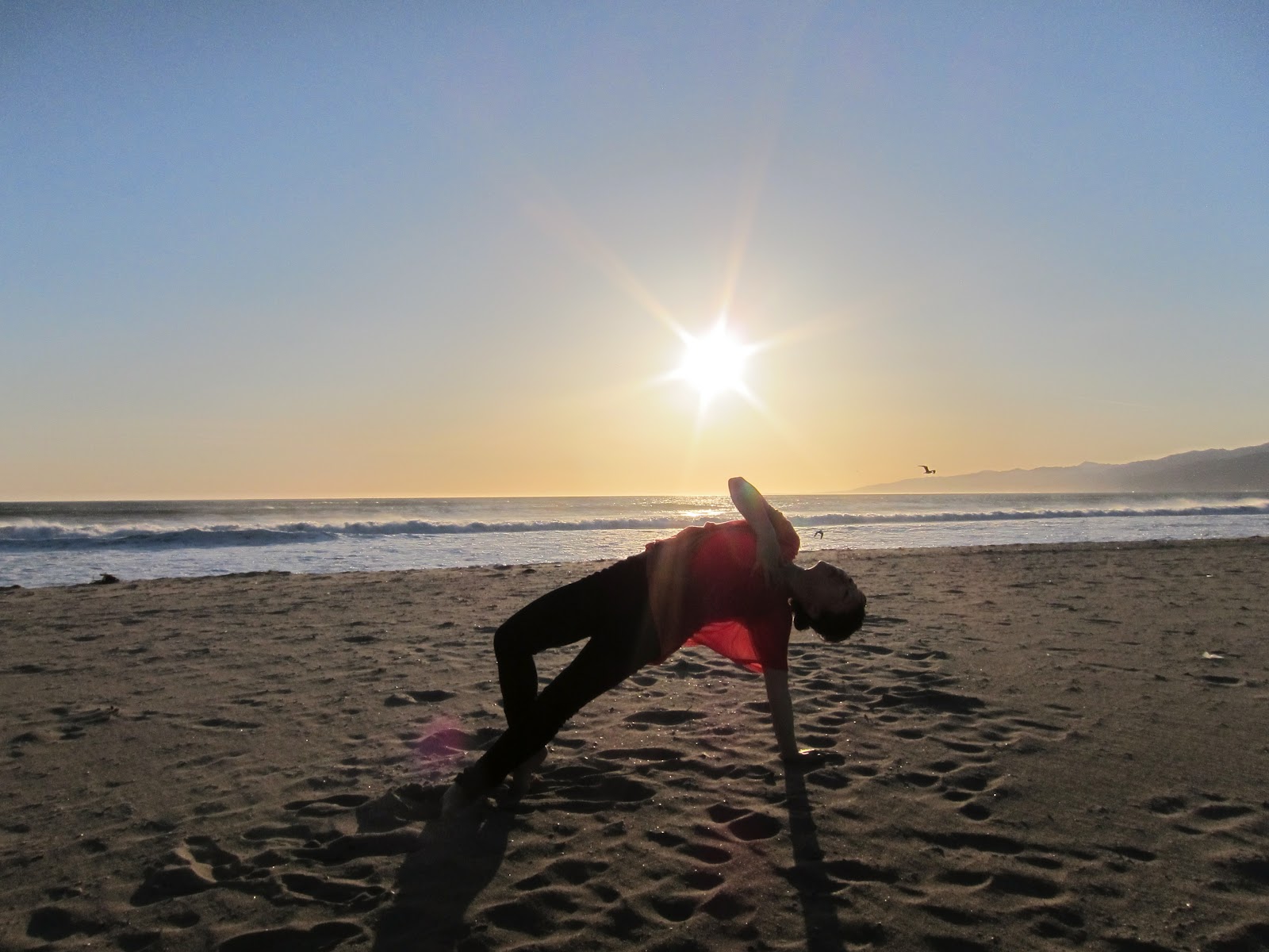 YOGA SPOT Love Live Yoga 心の避難所 ヨガと言う大きな樹の下に