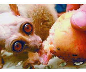 alien 2