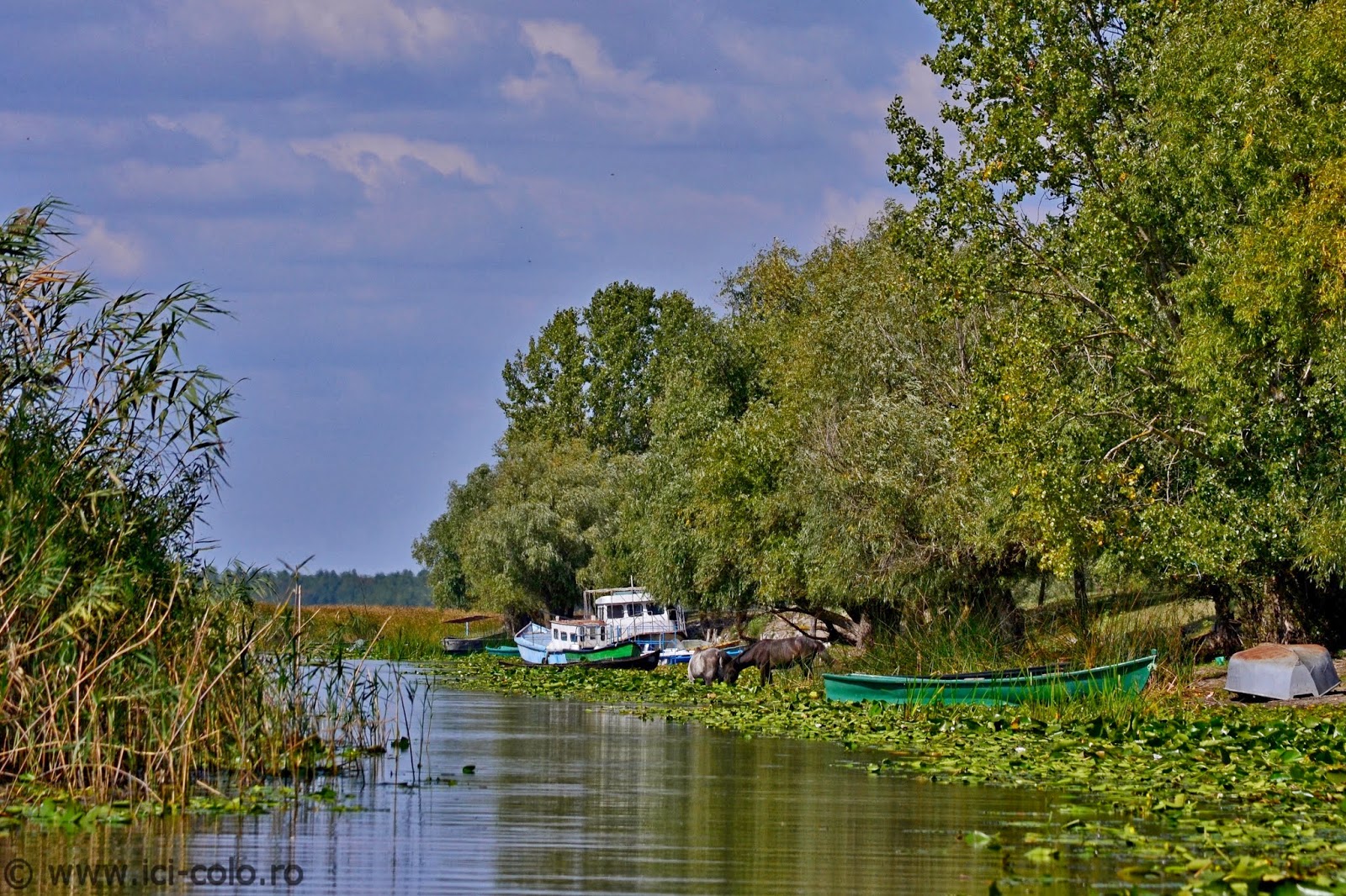 Sulina: Marea și Delta la Europolis - ici-colo.ro