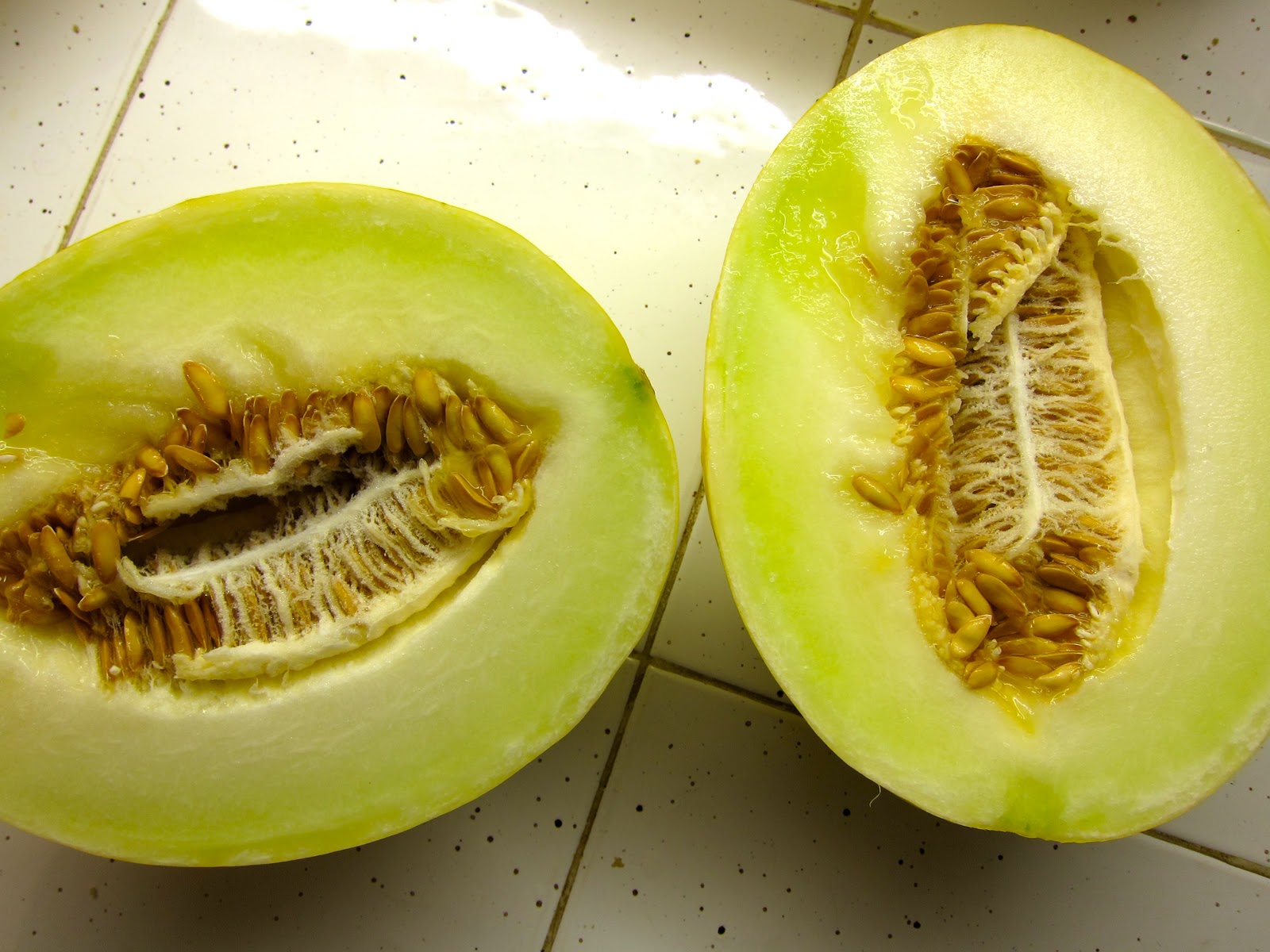 Sweet Yelow Canary Melon * Spanish melon* 20 fresh viable seeds * eBay