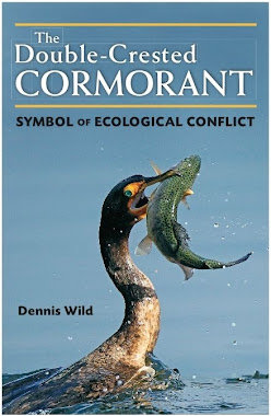 The Double-Crested Cormorant: Symbol of Ecological Conflict