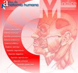 ATLAS DE ANATOMÍA