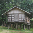 18+ Rumah Lumbung Padi Pics