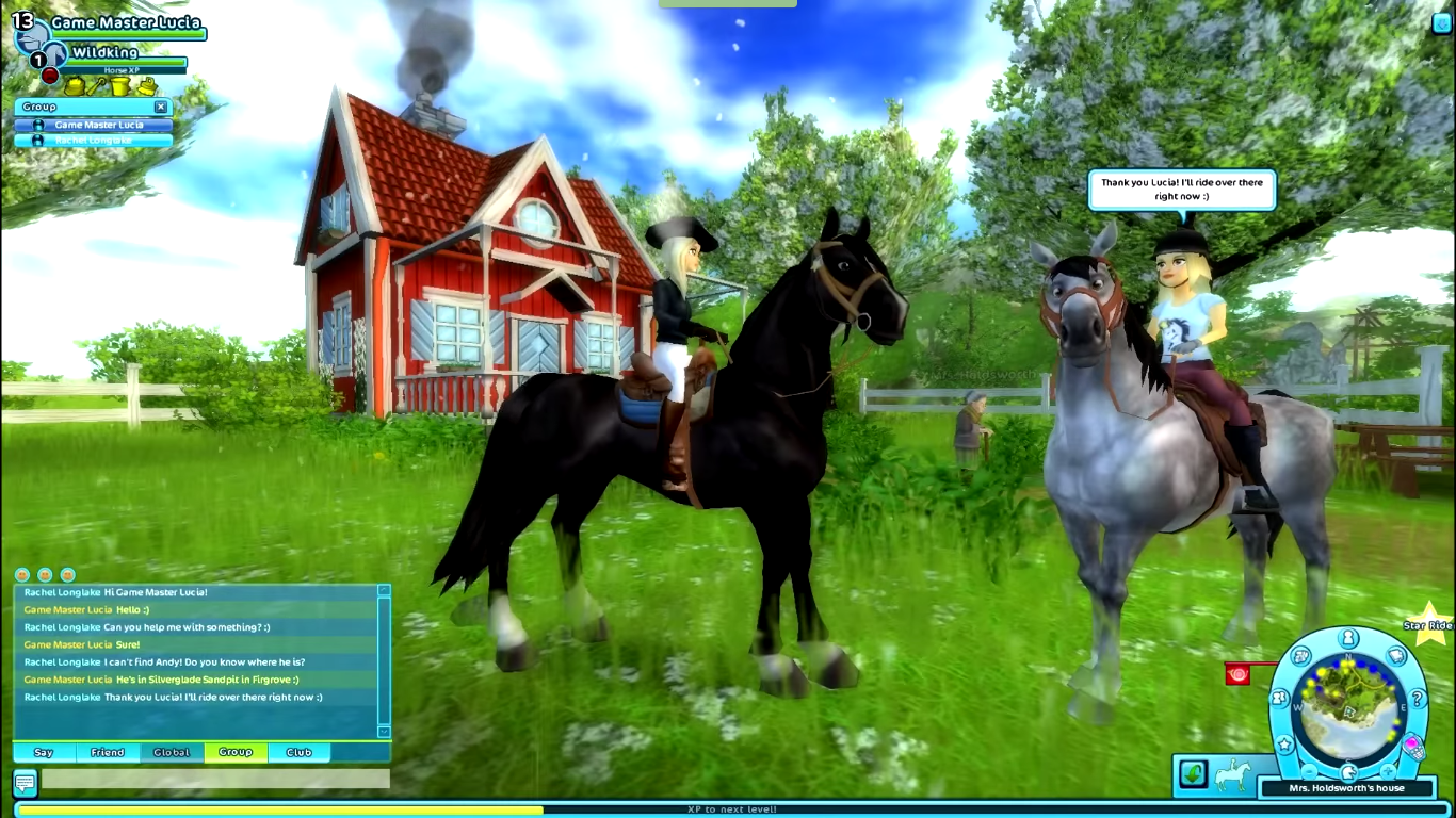 Star Stable Game 17