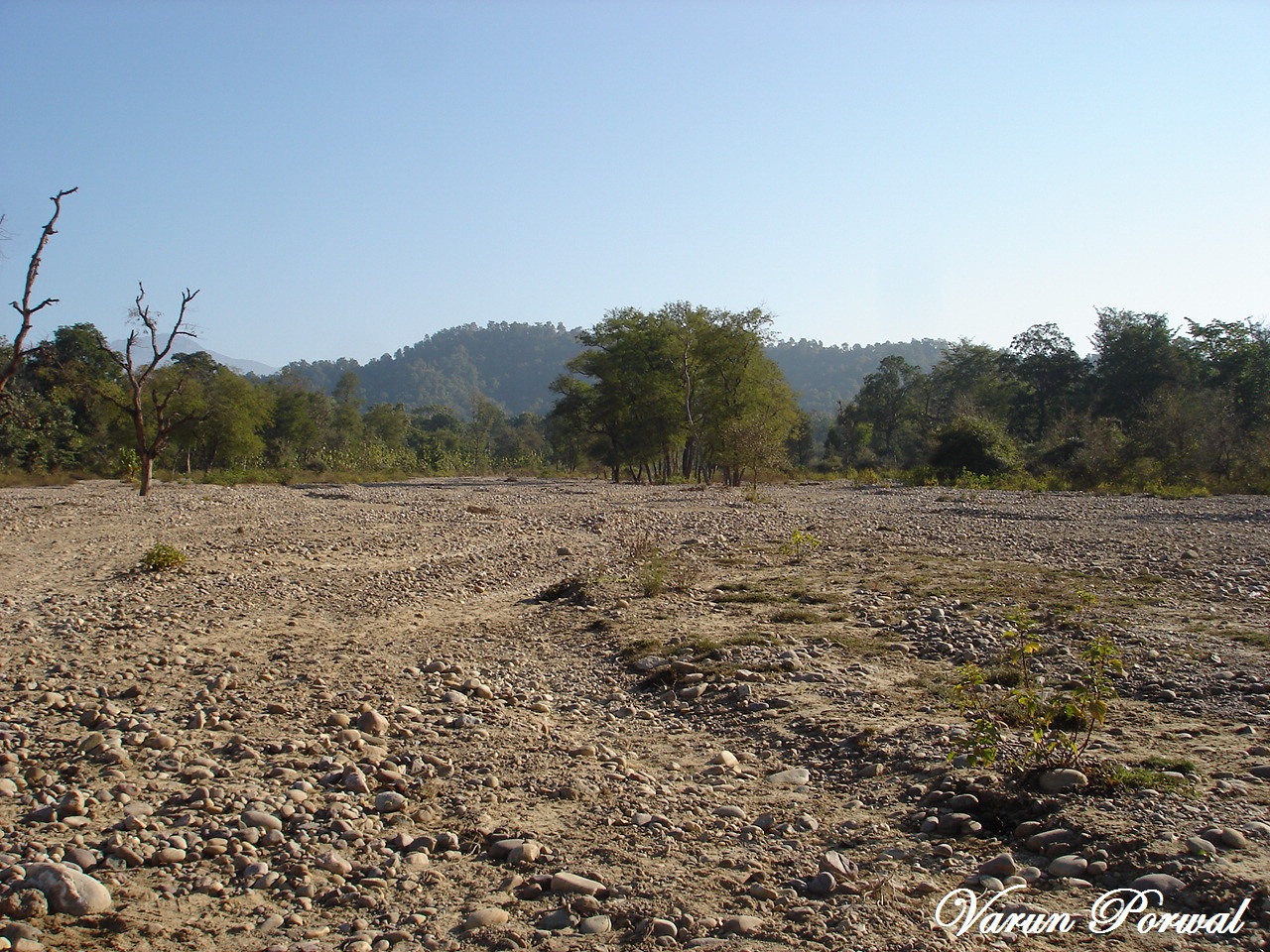 Truly Magical Barren Land