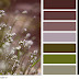 >>PALETTES - FLOWER BUD AND PEBBLE HUES