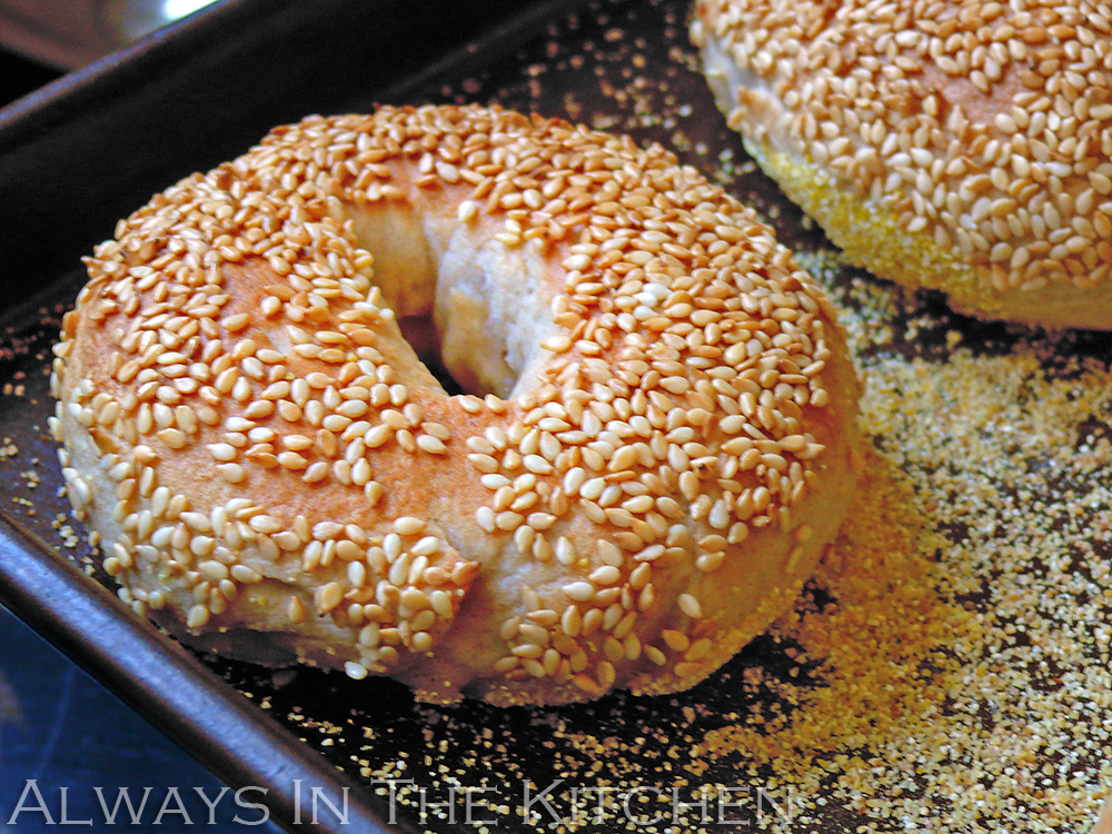 Dawna in the Kitchen Lye Water Bagels