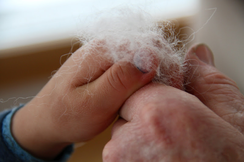 Kustenkidsunterwegs Schwangerschaftsupdate 4 Und 5 Ssw