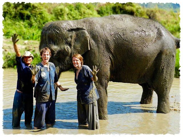 Muddy Elephant, Chiang Mai Elephant Camp, Thailand, Mahout Training, mudbath