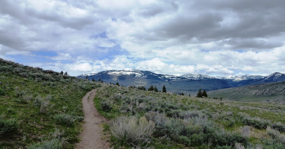 beaver ponds loop yellowstone