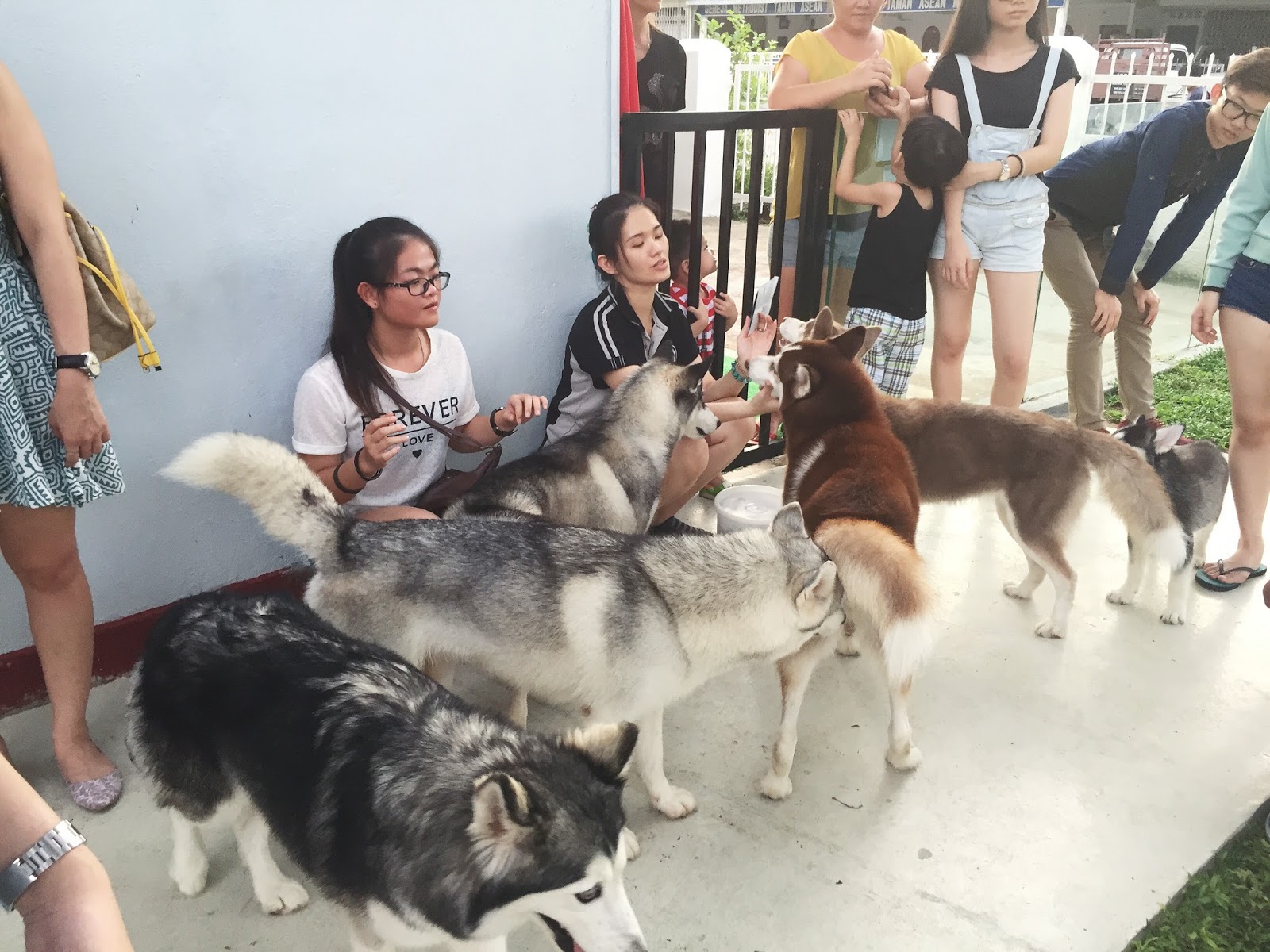 I C A Y II Huskitory Cafe Taman Asean, Malacca