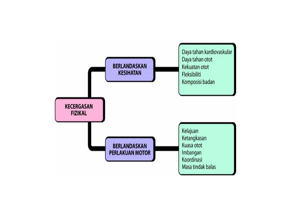Fizikal kecergasan contoh aktiviti Pendidikan Jasmani