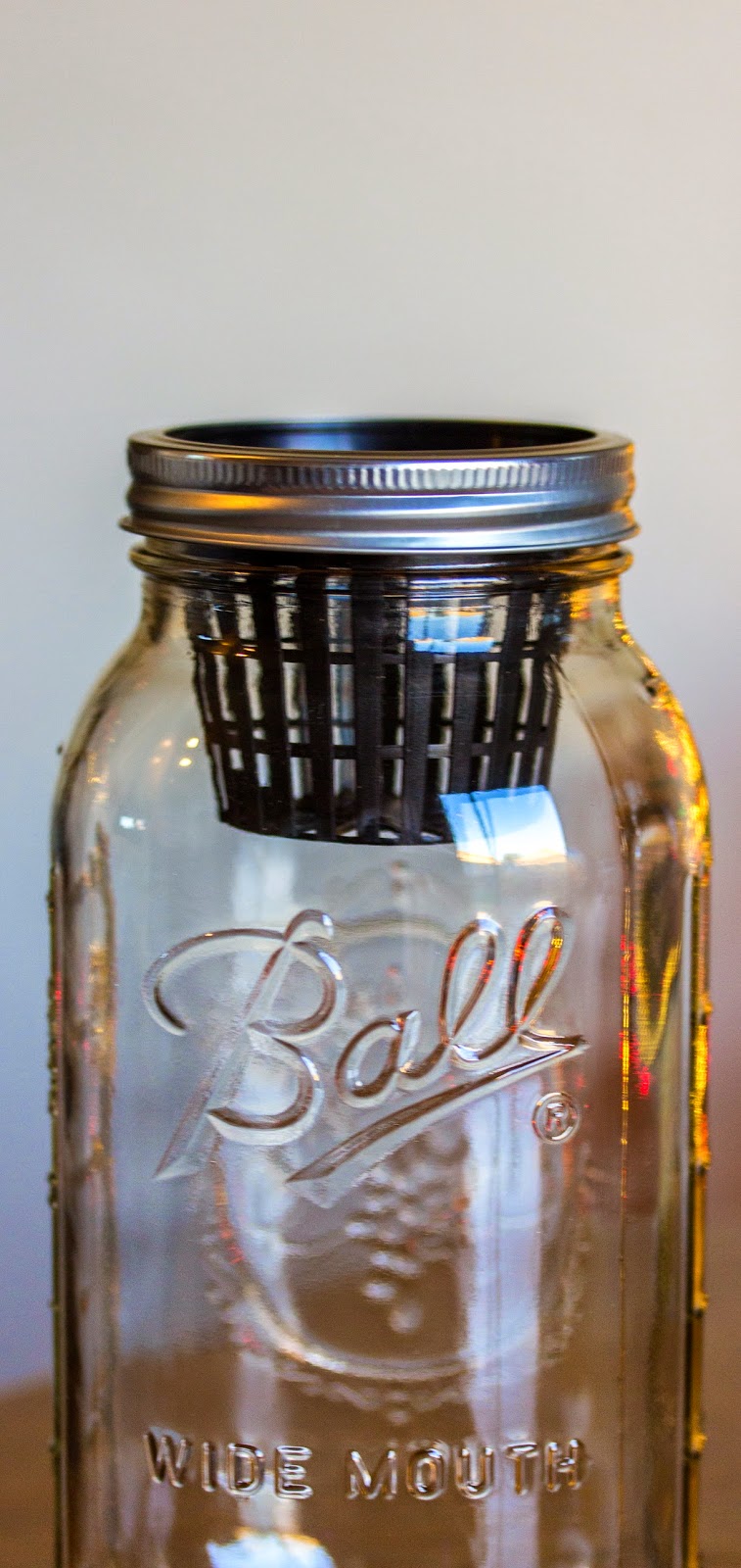 Macro Garden: DIY Mason Jar: Non-Circulating Hydroponics (AKA the