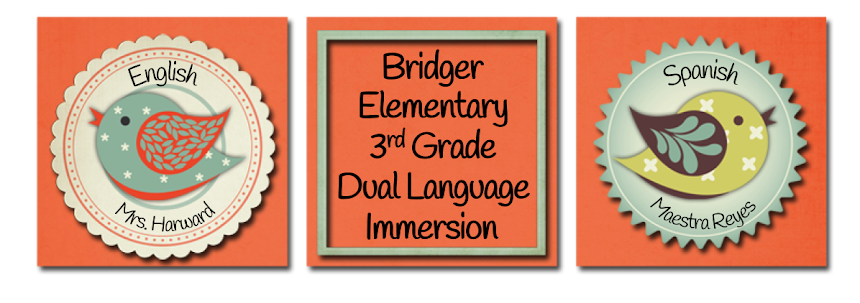 Bridger Elementary 3rd Grade Dual Language Immersion