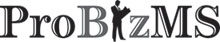Picture of the logo of ProBizMS.com