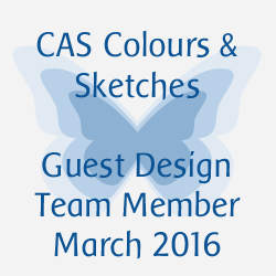 CAS Colours & Sketches
