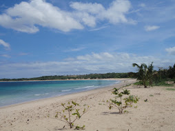 never seen such a beautiful beach