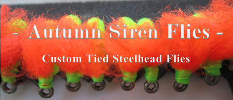 Website Designed and Maintained By Autumn Siren Flies