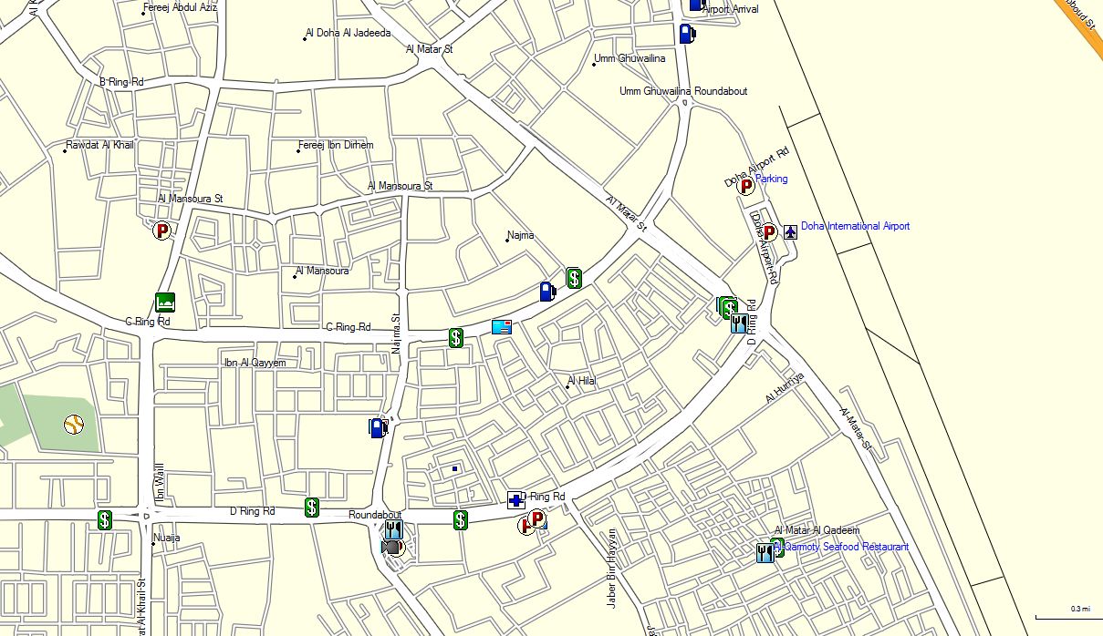 Qatar GPS Garmin Map