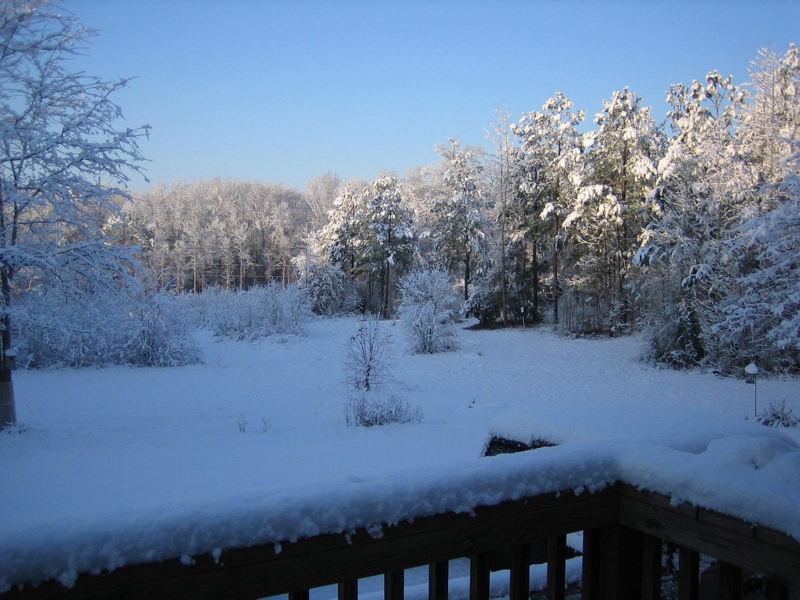alex farm molena, ga Our farm in Molena, about 70 miles