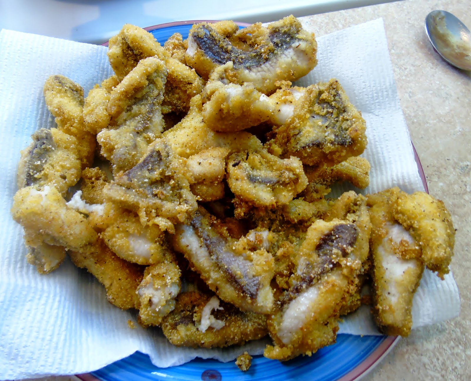 My Backyard Saltwater Catfish Good to Eat?